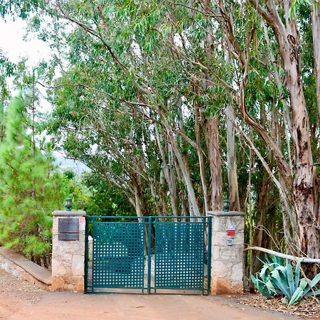 Casa Rural En Medio Del Bosque, El Lance Firgas 外观 照片