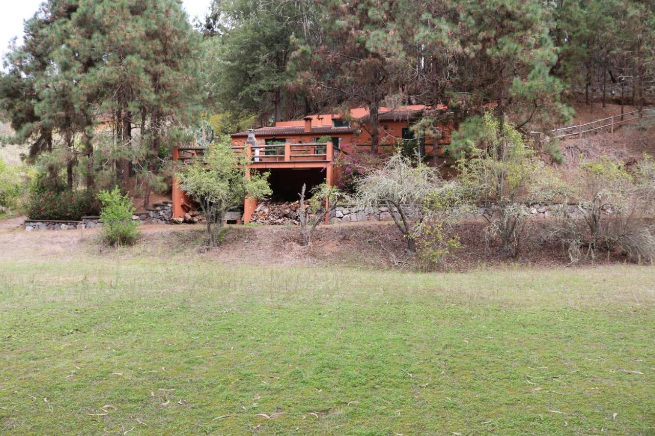 Casa Rural En Medio Del Bosque, El Lance Firgas 外观 照片