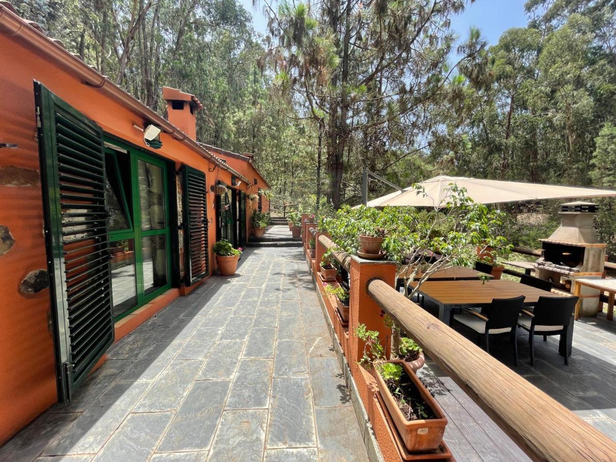 Casa Rural En Medio Del Bosque, El Lance Firgas 外观 照片