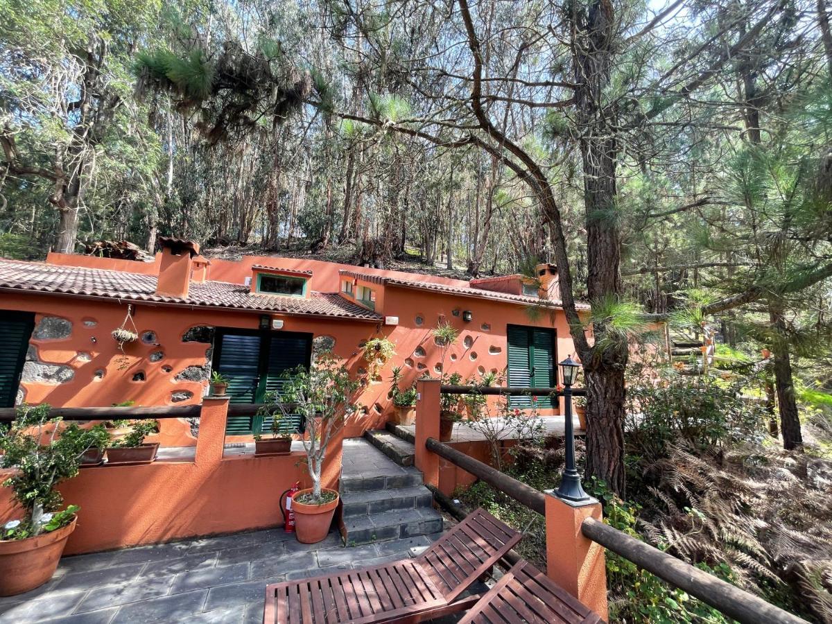 Casa Rural En Medio Del Bosque, El Lance Firgas 外观 照片