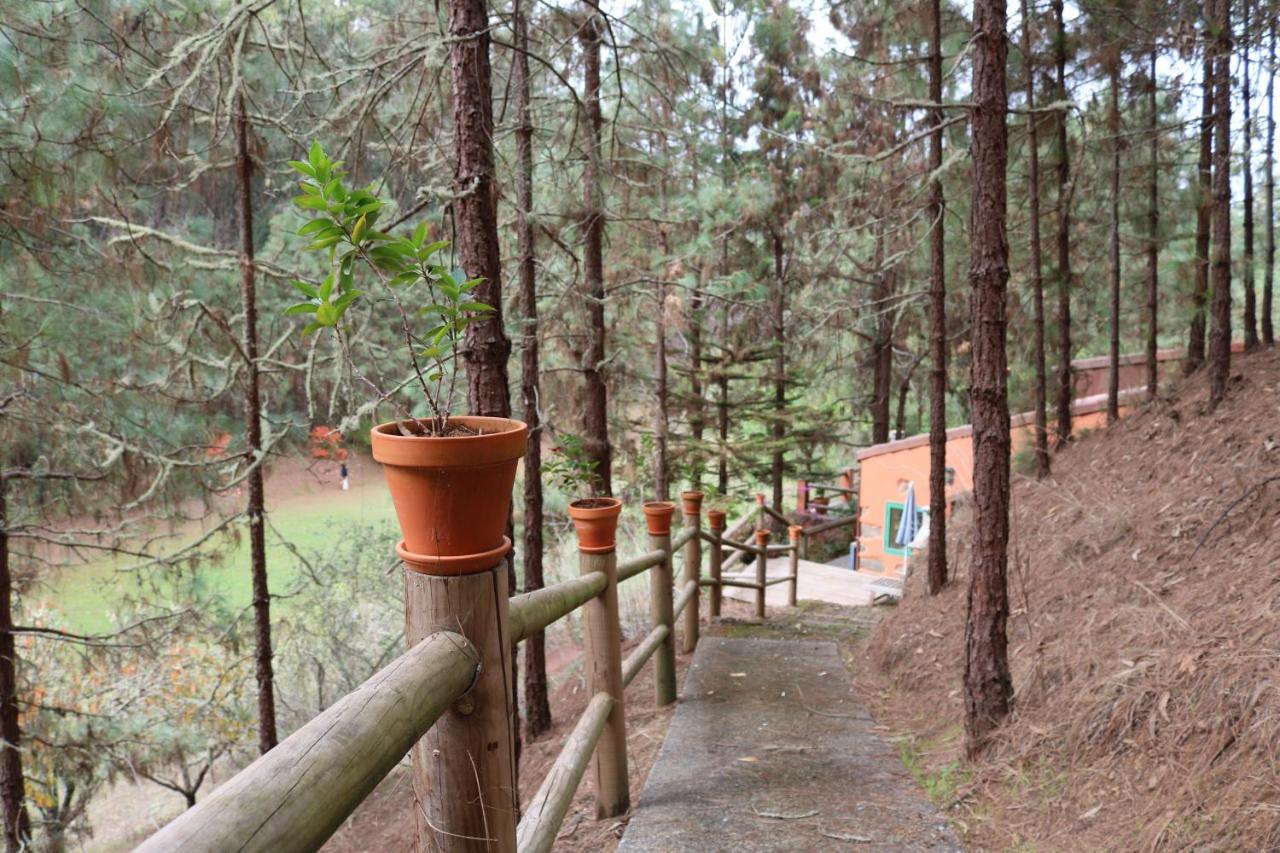 Casa Rural En Medio Del Bosque, El Lance Firgas 外观 照片