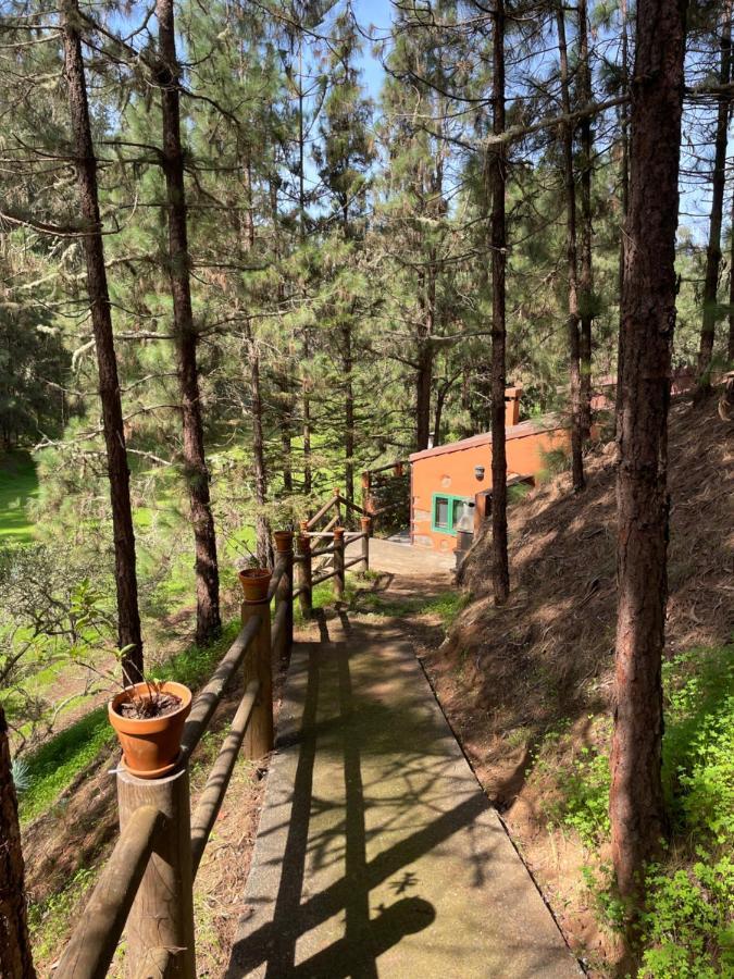 Casa Rural En Medio Del Bosque, El Lance Firgas 外观 照片