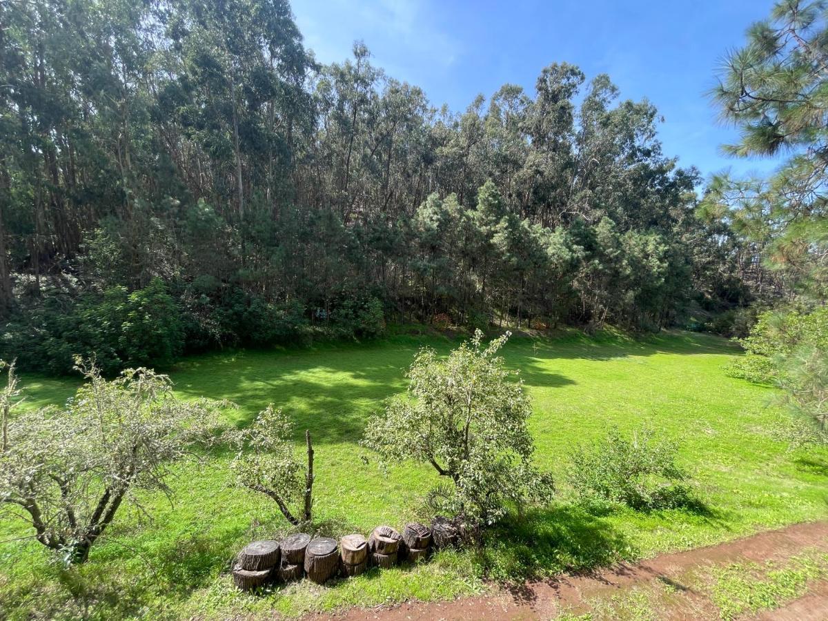 Casa Rural En Medio Del Bosque, El Lance Firgas 外观 照片