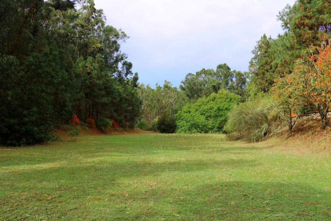Casa Rural En Medio Del Bosque, El Lance Firgas 外观 照片