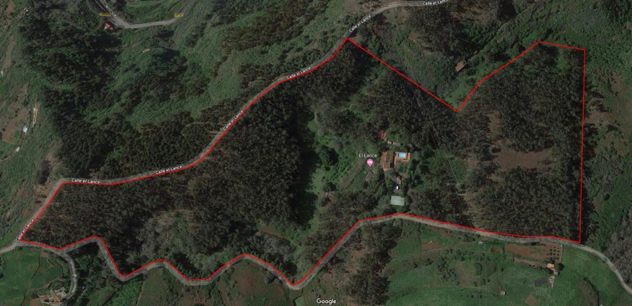 Casa Rural En Medio Del Bosque, El Lance Firgas 外观 照片