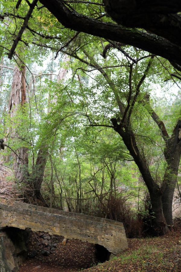 Casa Rural En Medio Del Bosque, El Lance Firgas 外观 照片
